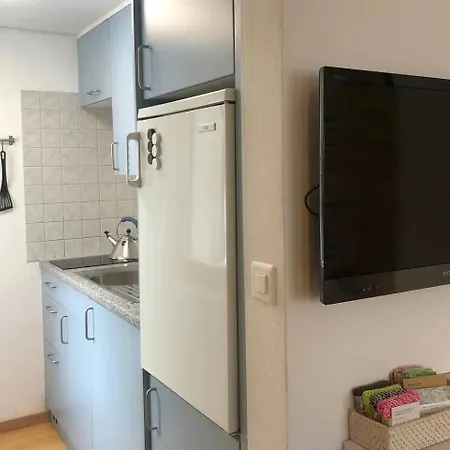 Rustic Modern - Ski-in, Ski-out - By Wengen