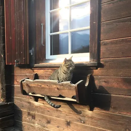 Rustic Modern - Ski-in, Ski-out - By Appartamento Wengen