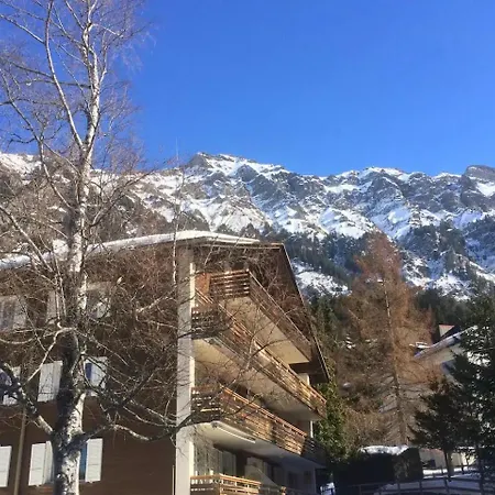Rustic Modern - Ski-in, Ski-out - By Wengen