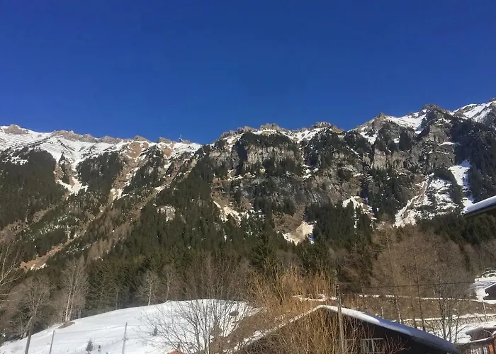 Rustic Modern - Ski-in, Ski-out - By 翁根