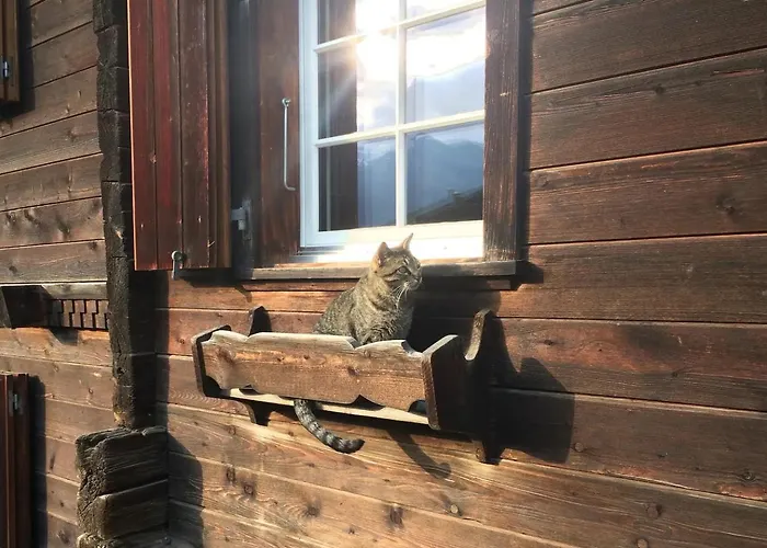 Rustic Modern - Ski-in, Ski-out - By דירה וונגן