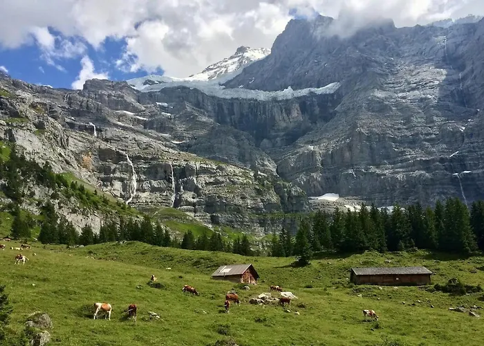 דירה Rustic Modern - Ski-in, Ski-out - By