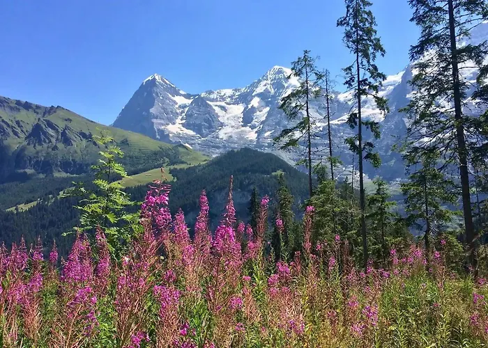 Rustic Modern - Ski-in, Ski-out - By 翁根