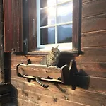 Rustic Modern - Ski-in, Ski-out - By アパート ヴェンゲン