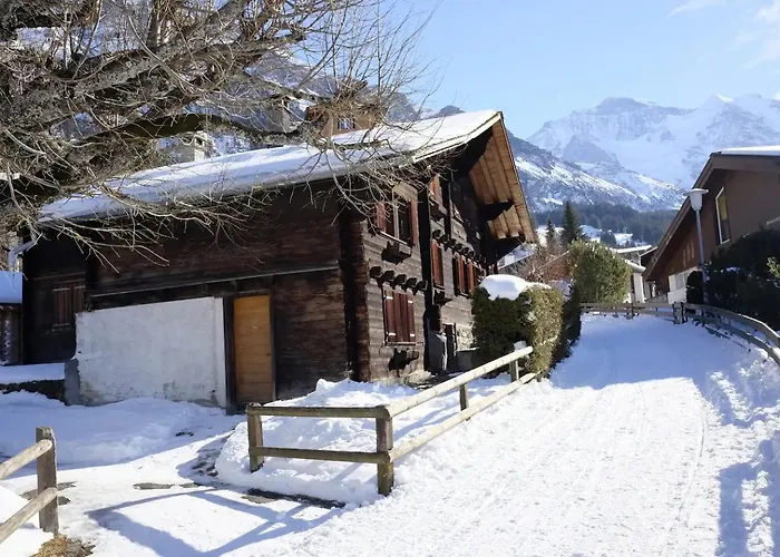 Rustic Modern - Ski-in, Ski-out - By Lejlighed