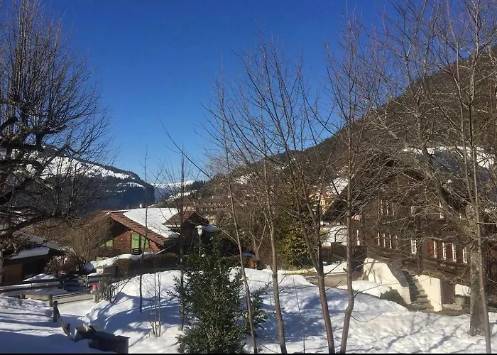 Rustic Modern - Ski-in, Ski-out - By *